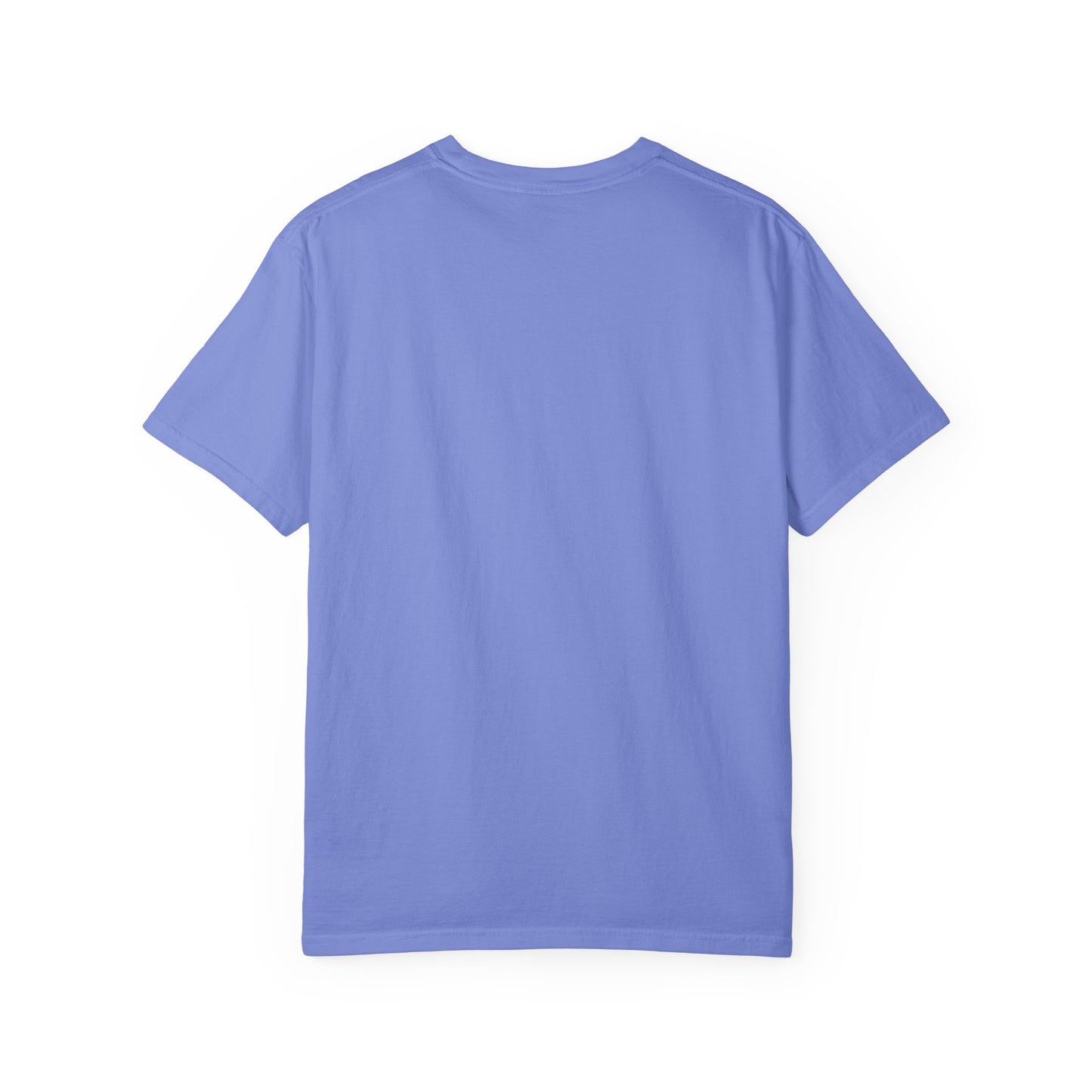Evil Cat Potion Tee – Gothic Bottle Familiar Comfort Colors T-Shirt