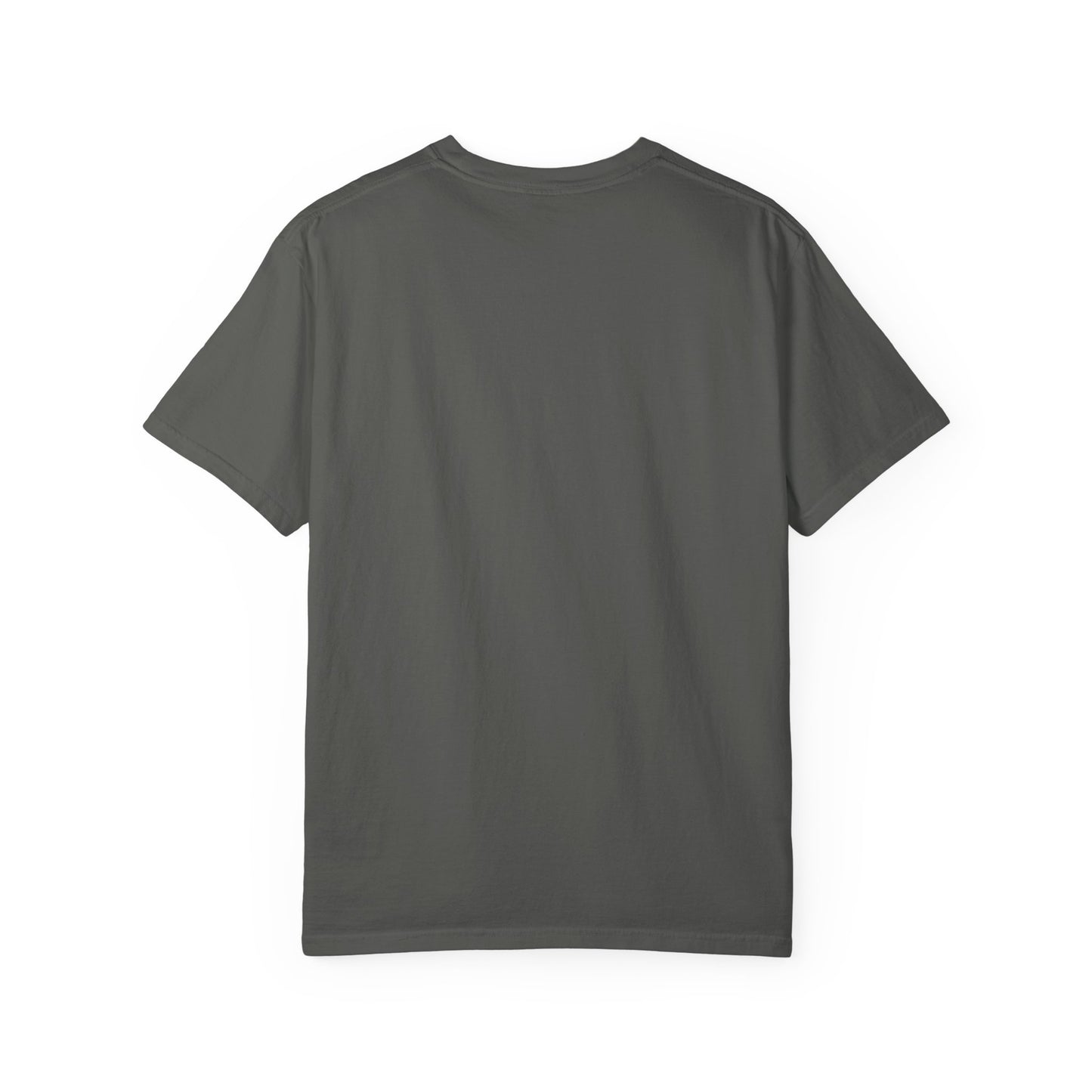 Evil Cat Potion Tee – Gothic Bottle Familiar Comfort Colors T-Shirt